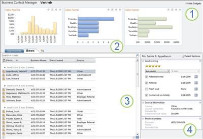 Mit den Features und Optionen von Business Contact Manager vertraut werden 0068994d-ab99-4980-a434-f2a750fff4fe.jpg