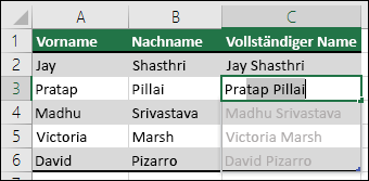Blitzvorschau in Excel 096e83aa-1b74-48c0-8ca9-cc2b251a3ff7.png