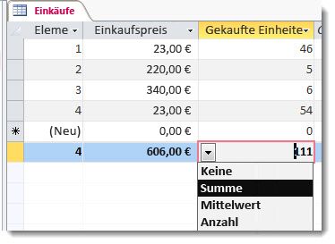 Anzeigen von Spaltensummen in einem Datenblatt mithilfe einer Ergebniszeile 09c9d17b-f487-41ea-a410-b47a97bb8080.jpg
