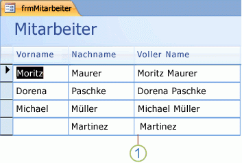 Zusammenfassen von Textwerten mithilfe eines Ausdrucks 1b3ea763-1666-4483-9e55-9e4a5da5ec8e.gif