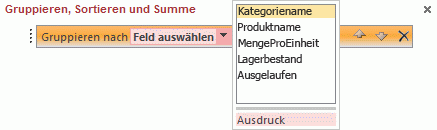 Erstellen eines gruppierten oder zusammenfassenden Berichts 1df91a33-5d0e-42d4-8479-433b8cfa3a70.gif
