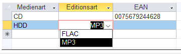 Feldinhalt "unsichtbar" 3.png