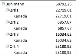 Entwerfen des Layouts und Formats einer PivotTable 38ce3dce-d0a5-4645-acc5-5b2f6d37df34.jpg