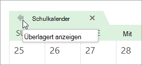 Gleichzeitiges Anzeigen mehrerer Kalender 39e5ad41-2d75-4d33-a6b2-b449d406f74a.png