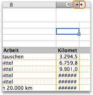 Anpassen der Spaltengröße für die Anzeige des gesamten Inhalts 44ce96ce-ff54-4e4e-b412-f7d75d42919f.gif