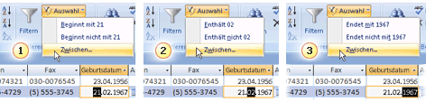 Anwenden eines Filters zum Anzeigen ausgewählter Datensätze in einer Access-Datenbank 475e44bd-e6c9-43bf-a250-193d0992063b.gif