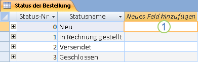 Erstellen einer Tabelle und Hinzufügen von Feldern 57ae10c6-dd79-467d-80f8-152171a693e4.gif