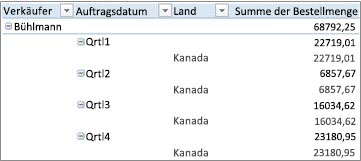 Entwerfen des Layouts und Formats einer PivotTable 6846ea8d-c8ca-4040-aa74-386e397db08f.jpg