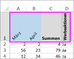 Ausrichten oder Drehen von Text in einer Zelle 6a831995-2a00-4694-b07d-205500705f9c.png