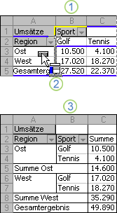 Entwerfen des Layouts und Formats einer PivotTable 6dc9895e-798b-41fa-99cd-50f5df862d38.gif