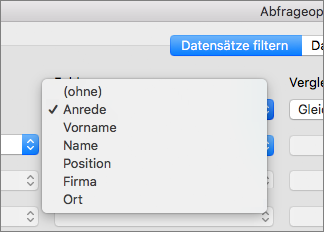 Dialogfeld ' Abfrageoptionen Filter ' 73b1f2d3-4492-4c1c-887b-19d22250c269.png