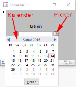 Kalender im Datum-Feld Automatisch Anzeigen 776rapr6.jpg
