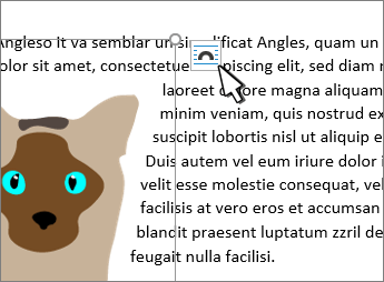 Festlegen des Textflusses um ein Bild 7a402a06-ba89-44d6-b4a5-575684aa8578.png