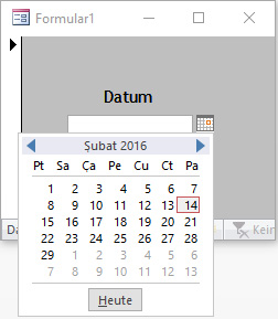 Kalender im Datum-Feld Automatisch Anzeigen 7rda55u3.jpg