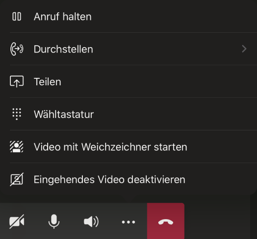 MS Teams auf iPad - externe Kamera? 865a36df-81c8-4b96-b66c-fa75a9e6e3db?upload=true.png