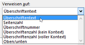 Erstellen eines Querverweises 987d7073-f585-40f7-aecd-e40c61eba28a.png