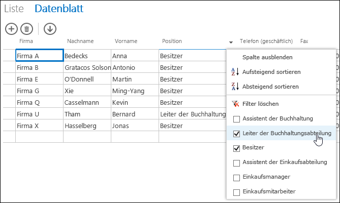 Verwenden einer Webdatenblattansicht in einer Access-App a5f8f37c-a705-4c7b-bf16-9407dc598a7d.png