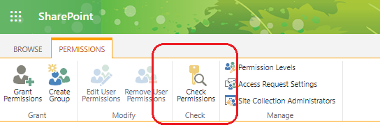 Microsoft Teams und externe Nutzer ac819115-55c0-4daa-be49-3d7700471bba?upload=true.png