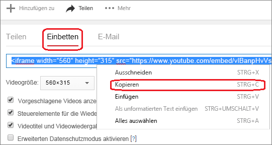 Einfügen eines Videos aus YouTube oder von einer anderen Website b5e812a7-61ec-4005-84f4-dfcd76a53619.png