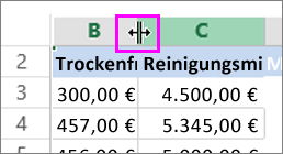 Ändern der Spaltenbreite oder Zeilenhöhe b968793c-7cdd-4785-bfa3-aeac4eda005a.png