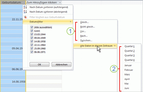 Anwenden eines Filters zum Anzeigen ausgewählter Datensätze in einer Access-Datenbank beec778e-b3cf-435e-9748-b532f0c6ae79.gif