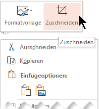 Zuschneiden eines Bilds in Office bf5af41f-c3c3-4b6f-90b7-6b92318c6919.png
