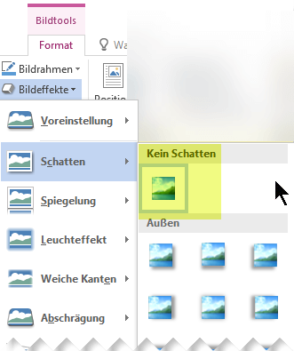 Hinzufügen oder Ändern eines Effekts für ein Bild c1fce24f-2ce7-4f95-8ace-8d9755ed7dc7.png