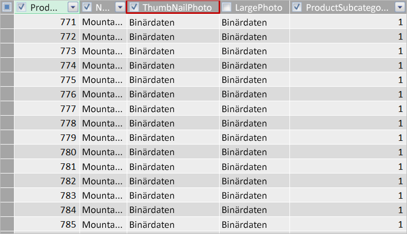 Laden von Bildern und anderen Binärdaten in das Datenmodell cb7a31c7-b995-4437-a587-c2230e38dd68.png