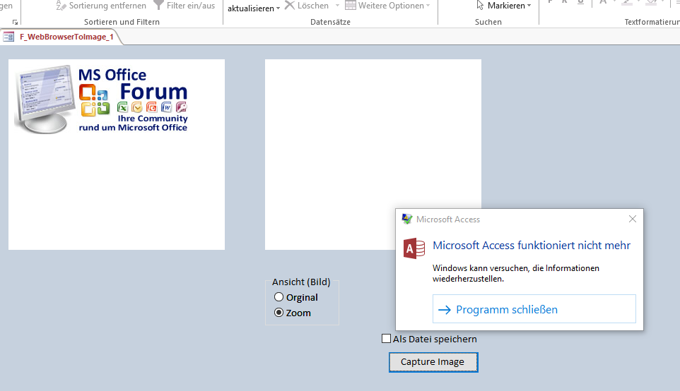 Formular mit Webbrowser Steuerelement doz8ueszm4oyqrrjx.png