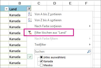 Löschen oder Entfernen eines Filters e0a20d2d-48a6-4079-846b-911cbea92850.jpg