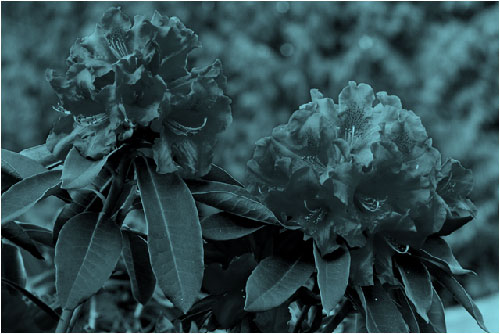 Ändern der Farbe eines Bilds e3d7568b-b29e-4e3c-942d-97e193521e3e.jpg