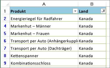 Löschen oder Entfernen eines Filters e6274dd1-1fca-413d-88a9-2f4af0806315.jpg