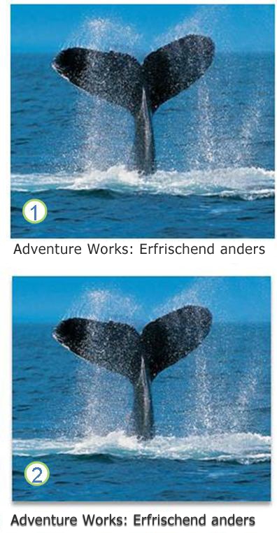 Neuigkeiten in Word 2010 e897cf9b-dea7-48f2-bbe8-ea01378517bc.jpg