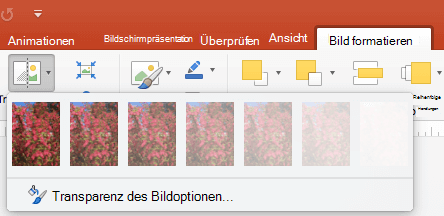Formatieren eines Bilds als transparent e9e0f25e-85cc-420a-9722-3617c37a5acd.png
