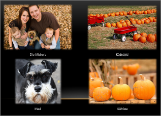Erstellen und Freigeben eines Fotoalbums f9a7c688-0f3a-4c2c-a2a3-74f6d5355d3a.png