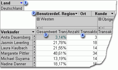 Erstellen von PivotTable- oder PivotChart-Ansichten in einer Access-Desktopdatenbank fd34c1a7-1736-4bc3-b647-36d98846f945.gif