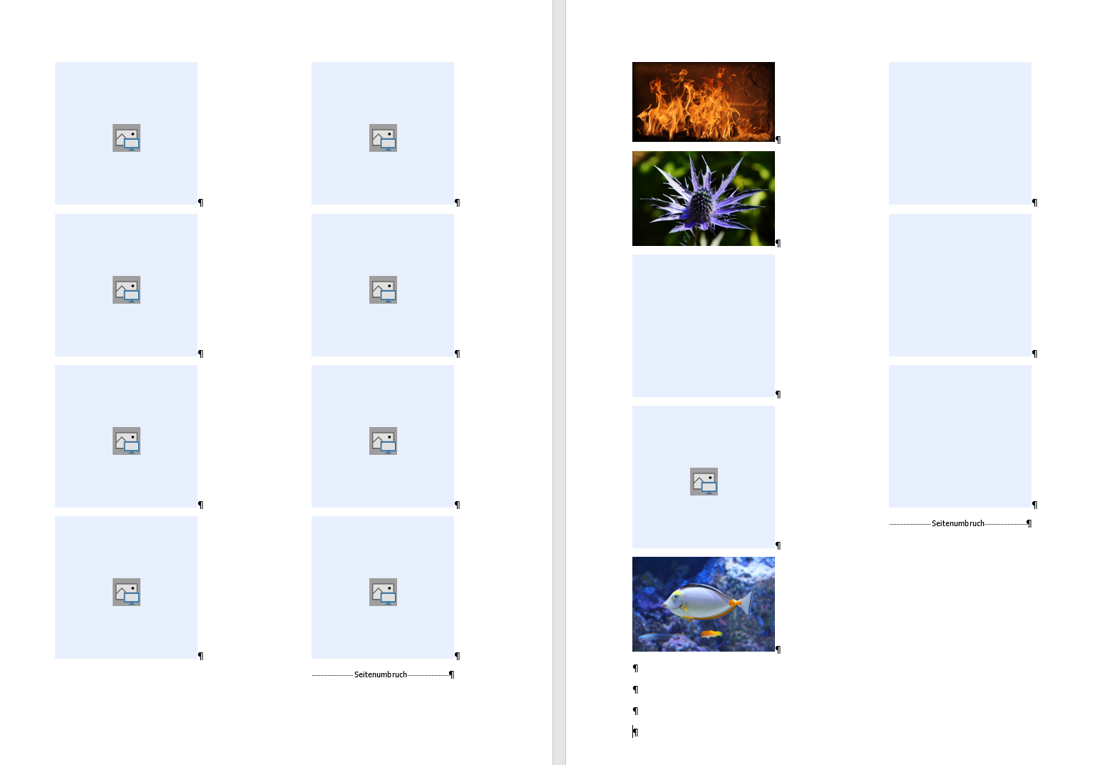 Fixen Bildplatzhalter erstellen upload_2024-7-30_9-43-36.png