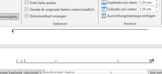 Problem mit Seitenzahlen/Seitenbeschriftung upload_2024-9-26_23-27-45.png