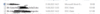 Screenshot 2023-08-31 143512.png
