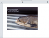 office_hilfe_762.png