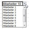 dynamische Tabelle mit Hilfe von Datenüberprüfung/Dropdownliste erweitern Dropdown Feld beschrieben.jpg