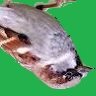 Sperlingskitzler