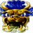 ejotka