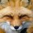 Foxi-Man
